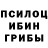Галлюциногенные грибы Cubensis Evgenij Shaburov
