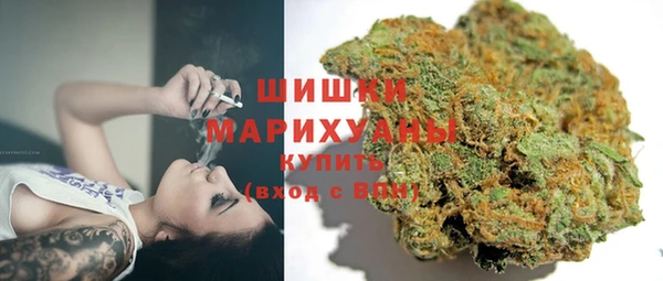 СК Мегион