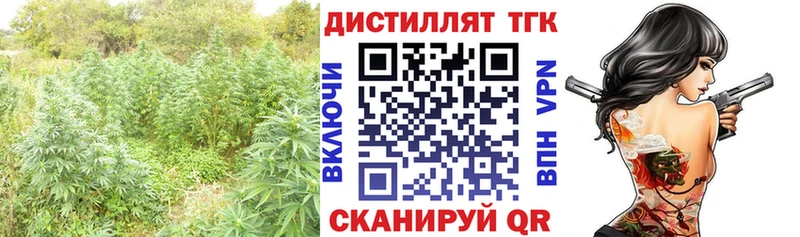 закладки  Лермонтов  ТГК Wax 