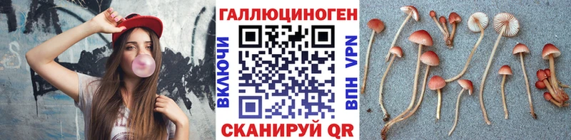 площадка какой сайт Лермонтов Галлюциногенные грибы ЛСД